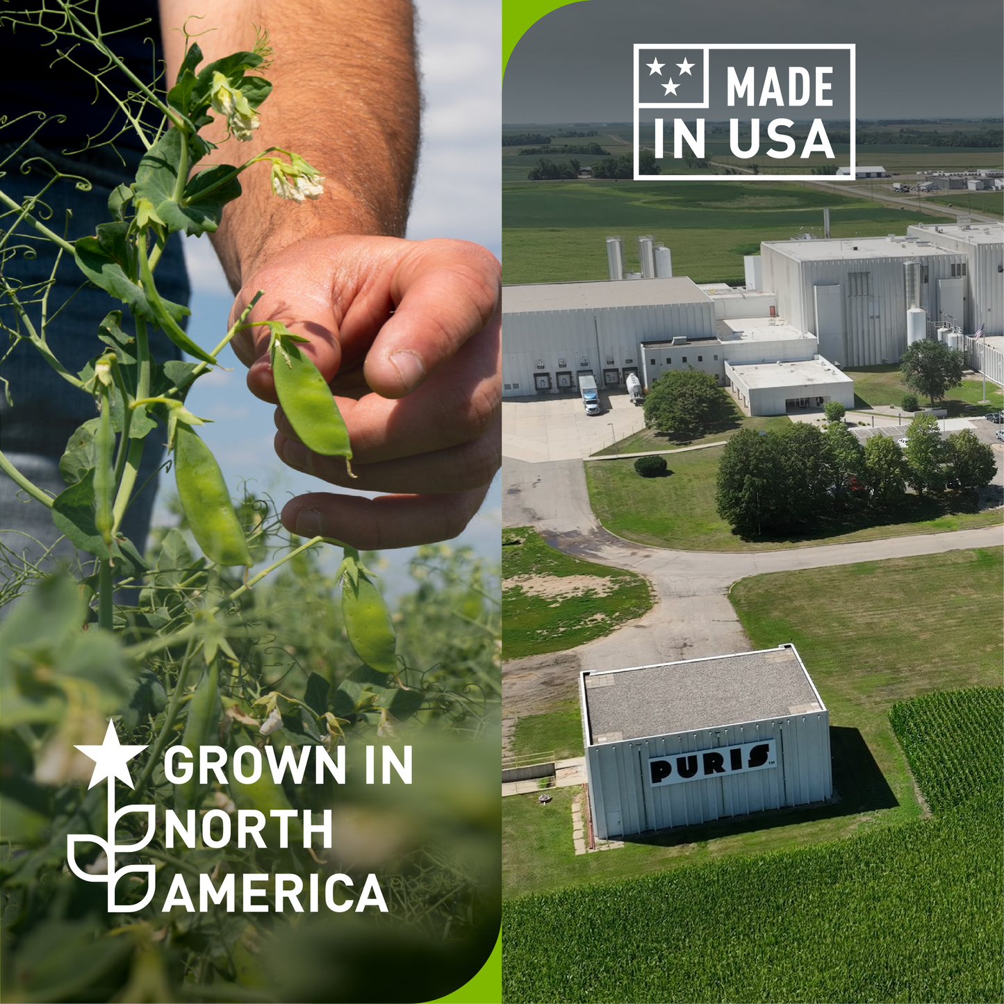 PURIS Non-GMO Pea Protein Crisps