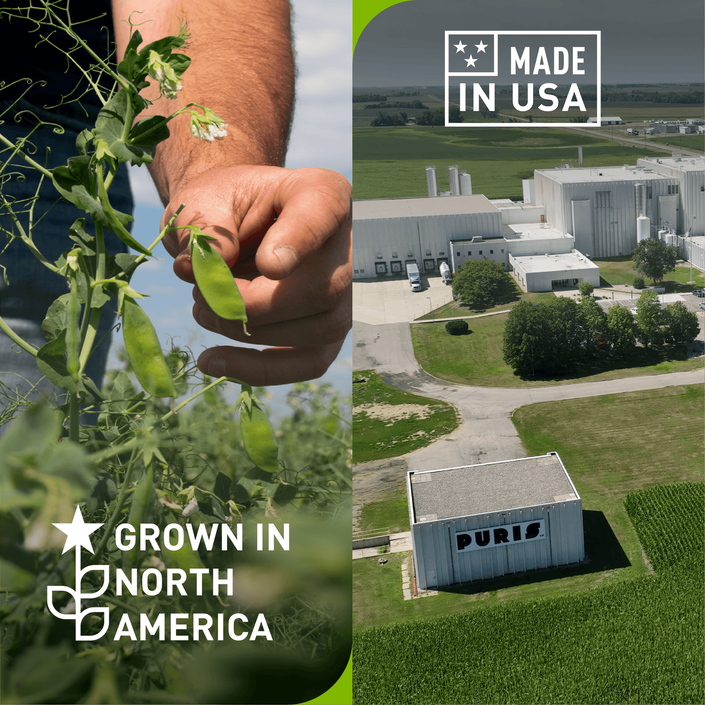 PURIS Non-GMO Puffed Pea Crispies