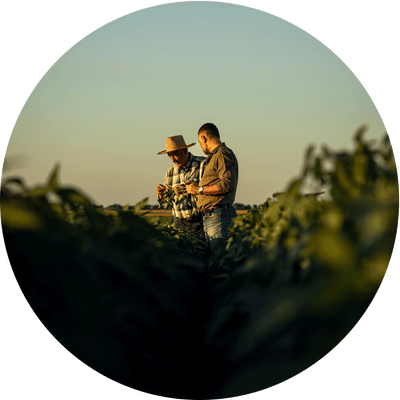 Grower Relationships