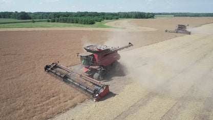 PURIS Organic Pea Protein Crisps